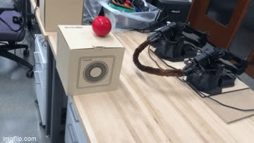 Robot arms holding a bent wire next to a red ball
