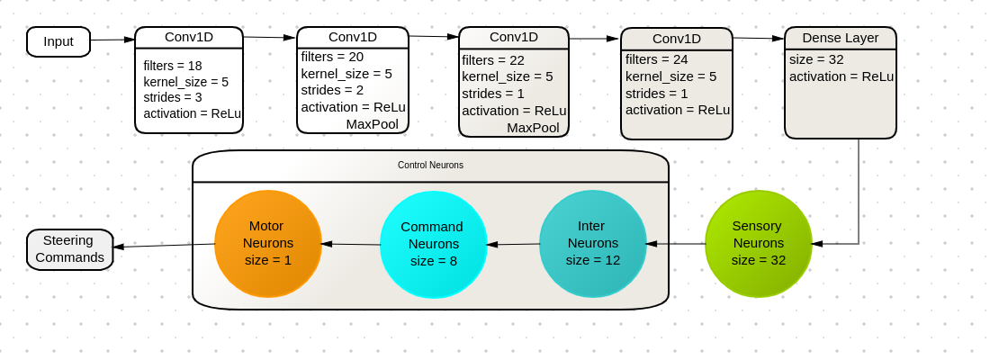 Model design: CNN feature extractor followed by a Neural Circuit Policy that outputs velocity commands